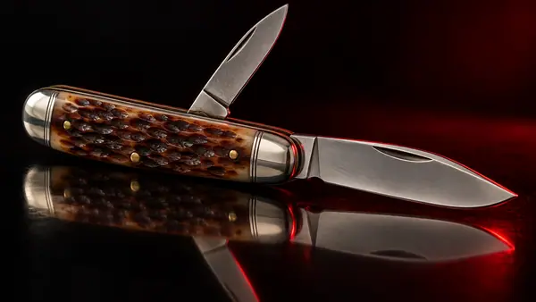 Illustrative studio render of a two-blade slip joint with jigged bone handle, not the actual model